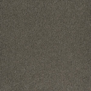 Dreamweaver Carpet Hammond Creek I Riverbed Carpet 2032_955