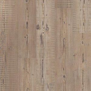 Shaw Floorte Pro Anvil Plus 20 Mil Accent Pine 7"