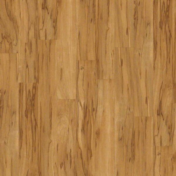 Shaw - 2426V Classico Plus - Colori