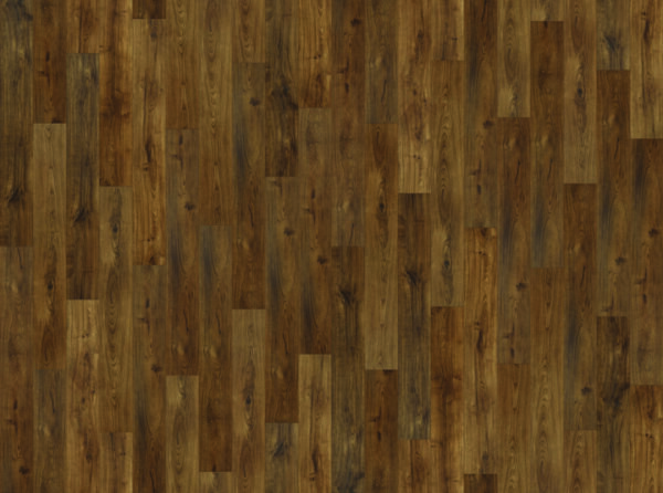 AxisCOR AxisPRIME Plus SKU: 25057 Color: Midnight