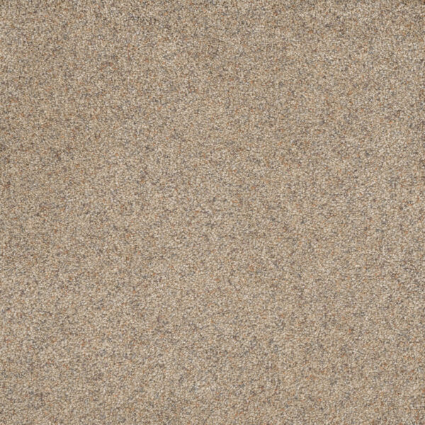 Dreamweaver Carpet Astounding II Morning Dew Carpet 2545_508