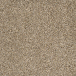 Dreamweaver Carpet Astounding II Amberwood Carpet 2545_529