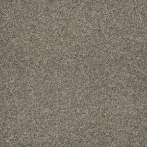 Dreamweaver Carpet Astounding II Baymont Carpet 2545_805