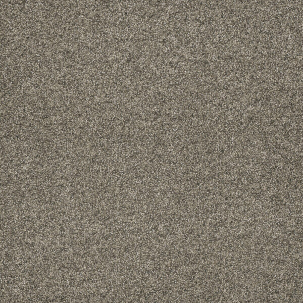 Dreamweaver Carpet Astounding I Baymont Carpet 2530_805