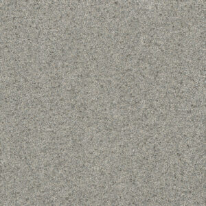 Dreamweaver Carpet Astounding II Nordic Mist Carpet 2545_837