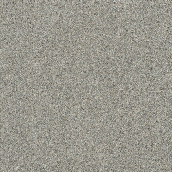 Dreamweaver Carpet Astounding I Nordic Mist Carpet 2530_837