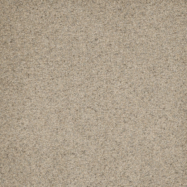 Dreamweaver Carpet Astounding II Pacific Breeze Carpet 2545_873