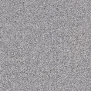 Dreamweaver Carpet Cape Cod Smoke Carpet 2540_420