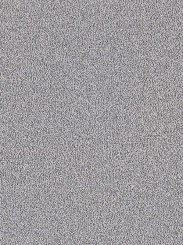 Dreamweaver Carpet Cape Cod Smoke Carpet 2540_420