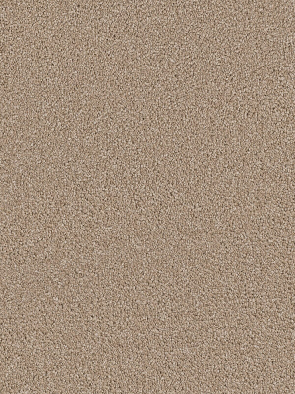 Dreamweaver Carpet Cape Cod Cashew Carpet 2540_530