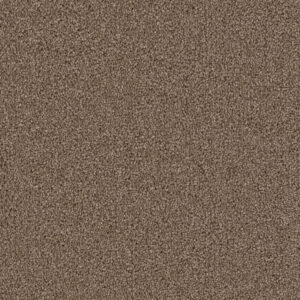 Dreamweaver Carpet Cape Cod Cocoa Carpet 2540_550