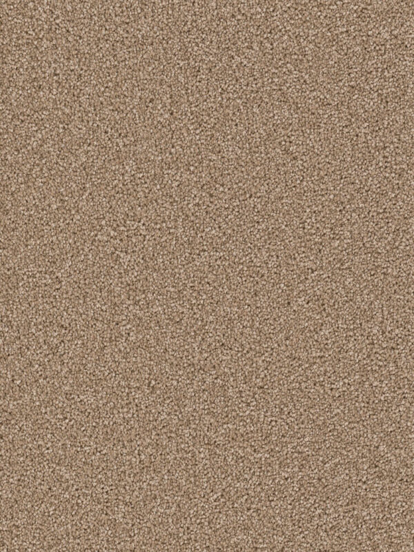Dreamweaver Carpet Cape Cod Bamboo Carpet 2540_565