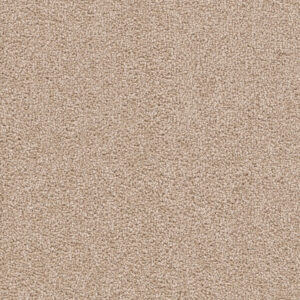 Dreamweaver Carpet Cape Cod Sand Carpet 2540_710