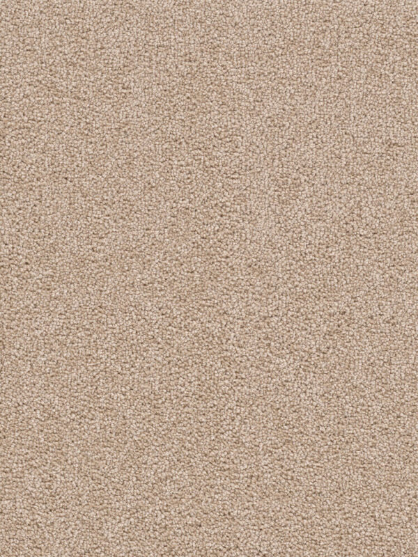 Dreamweaver Carpet Cape Cod Sand Carpet 2540_710