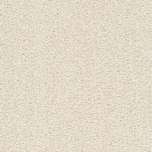 Dreamweaver Carpet Cape Cod Pearlesque Carpet 2540_716