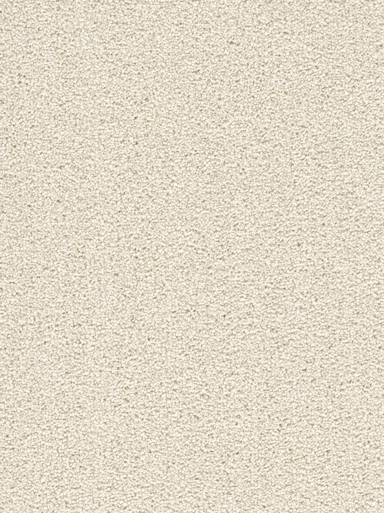 Dreamweaver Carpet Cape Cod Pearlesque Carpet 2540_716