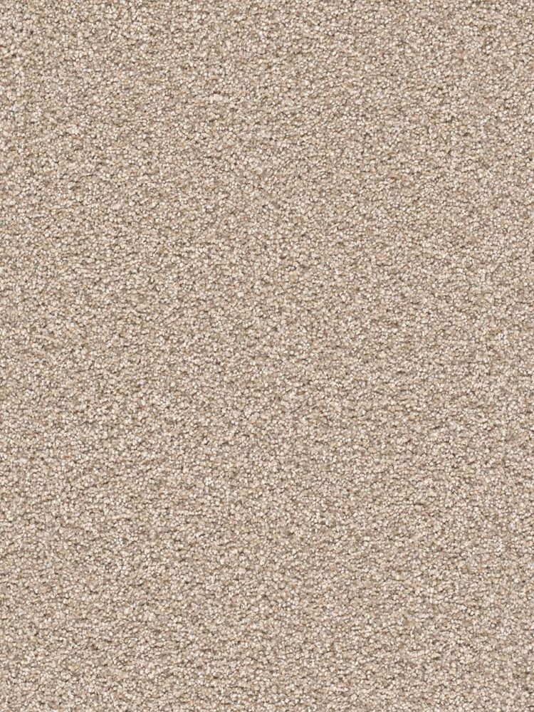 Dreamweaver Carpet Cape Cod Oxford Carpet 2540_720