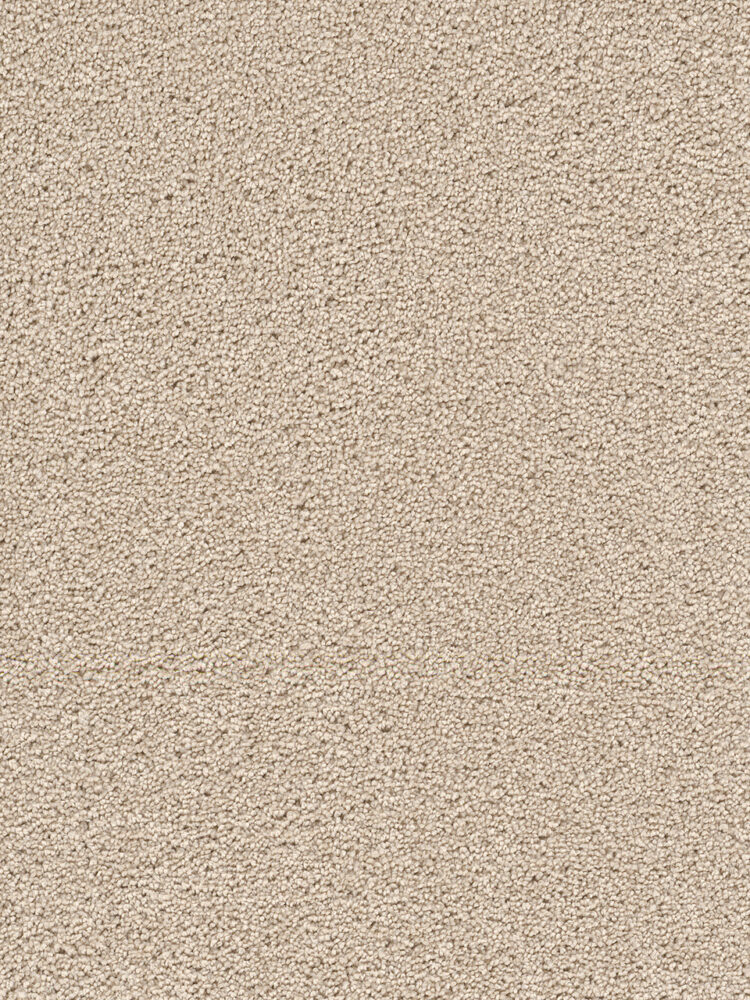 Dreamweaver Carpet Cape Cod Ivory Carpet 2540_730