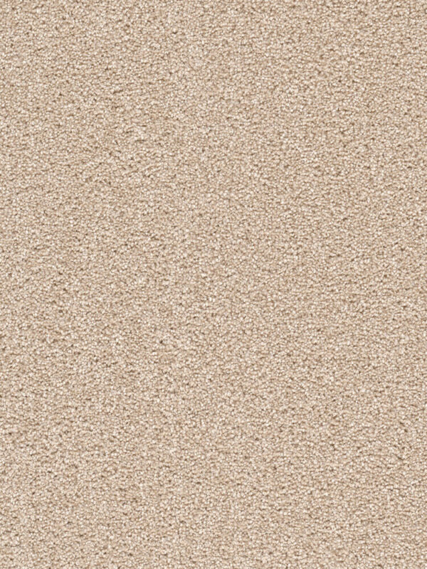 Dreamweaver Carpet Cape Cod Blush Carpet 2540_735
