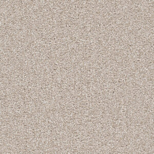 Dreamweaver Carpet Cape Cod Parchment Carpet 2540_744