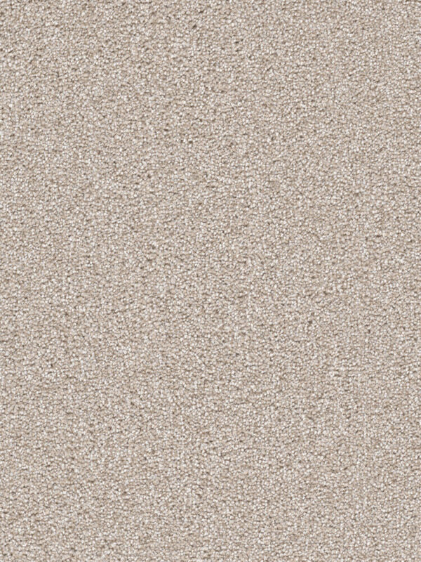 Dreamweaver Carpet Cape Cod Parchment Carpet 2540_744