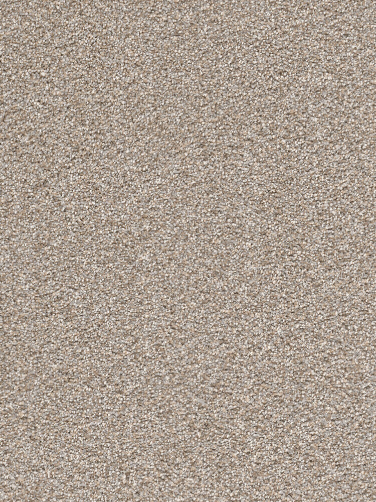 Dreamweaver Carpet Cape Cod Iron Frost Carpet 2540_815