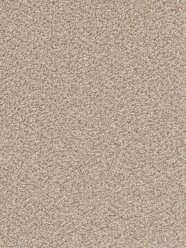 Dreamweaver Carpet Cape Cod Linen Carpet 2540_824