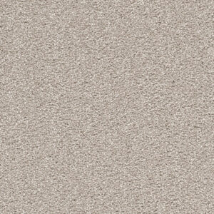 Dreamweaver Carpet Cape Cod Silver Lining Carpet 2540_830