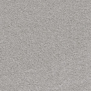 Dreamweaver Carpet Cape Cod Icicle Carpet 2540_910