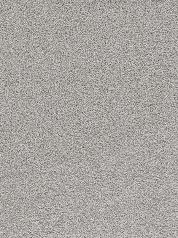 Dreamweaver Carpet Cape Cod Icicle Carpet 2540_910