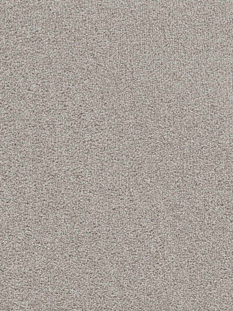 Dreamweaver Carpet Cape Cod Chrome Carpet 2540_927