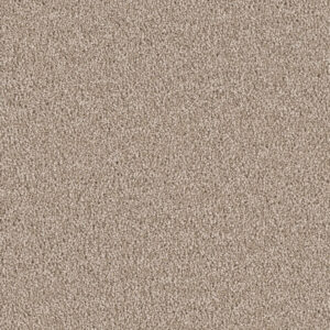 Dreamweaver Carpet East Hampton Cashew Carpet 2550_530