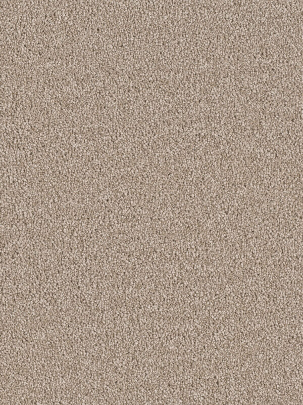 Dreamweaver Carpet East Hampton Cashew Carpet 2550_530