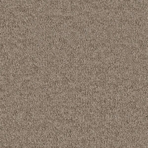 Dreamweaver Carpet East Hampton Cocoa Carpet 2550_550