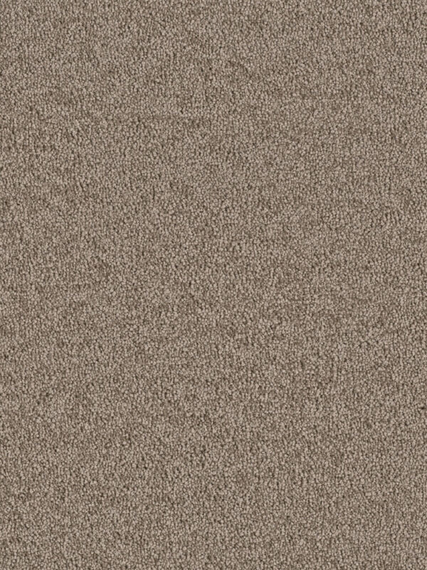 Dreamweaver Carpet East Hampton Cocoa Carpet 2550_550