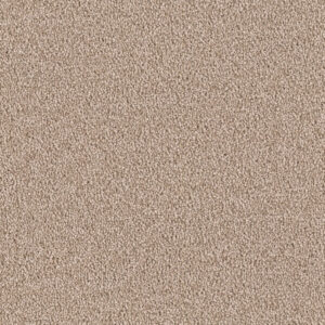 Dreamweaver Carpet East Hampton Bamboo Carpet 2550_565