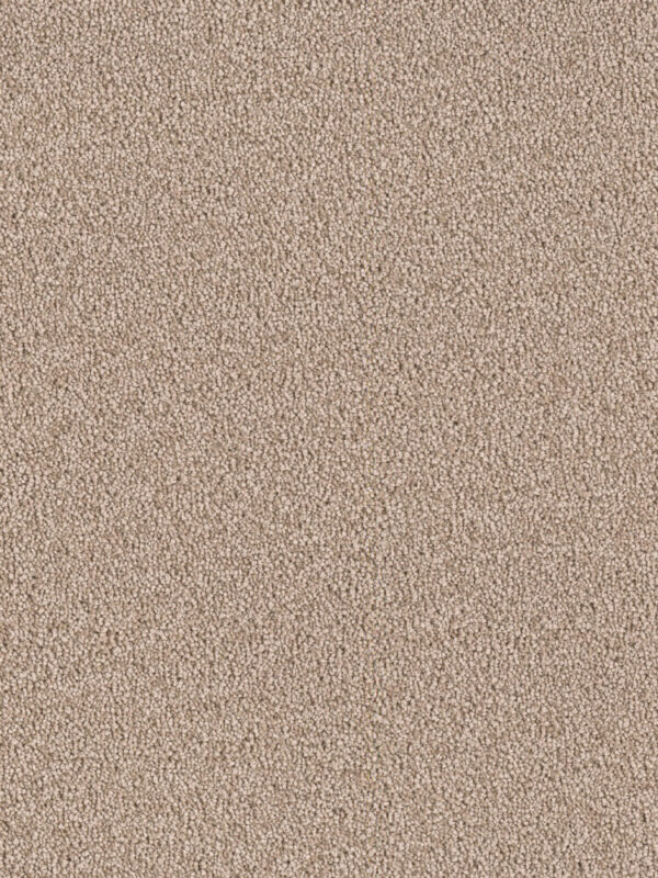 Dreamweaver Carpet East Hampton Bamboo Carpet 2550_565