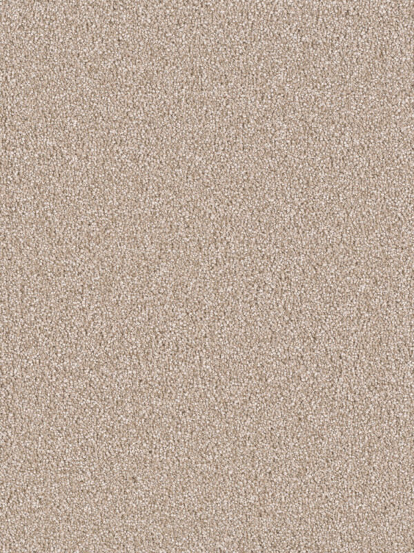 Dreamweaver Carpet East Hampton Sawgrass Carpet 2550_701