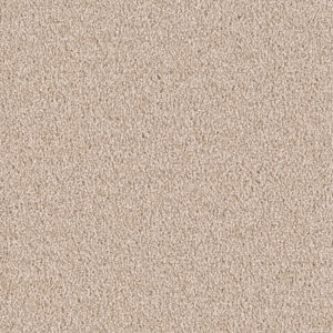 Dreamweaver Carpet East Hampton Sand Carpet 2550_710