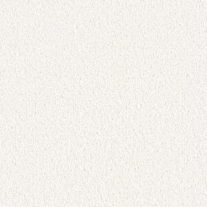 Dreamweaver Carpet East Hampton Opaline Carpet 2550_714