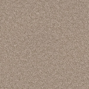 Dreamweaver Carpet East Hampton Mushroom Carpet 2550_715