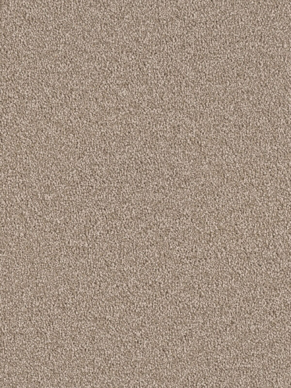 Dreamweaver Carpet East Hampton Mushroom Carpet 2550_715