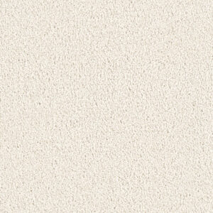 Dreamweaver Carpet East Hampton Pearlesque Carpet 2550_716