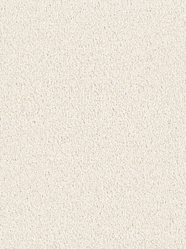Dreamweaver Carpet East Hampton Pearlesque Carpet 2550_716