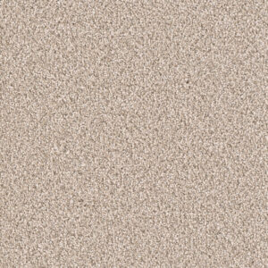 Dreamweaver Carpet East Hampton Oxford Carpet 2550_720