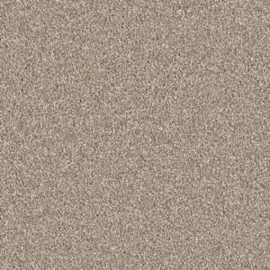 Dreamweaver Carpet East Hampton Quail Carpet 2550_725