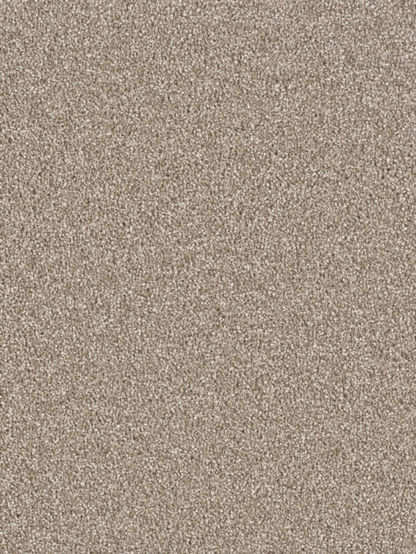 Dreamweaver Carpet East Hampton Quail Carpet 2550_725