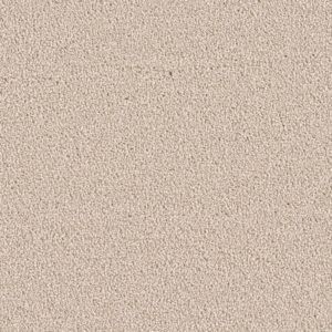 Dreamweaver Carpet East Hampton Ivory Carpet 2550_730