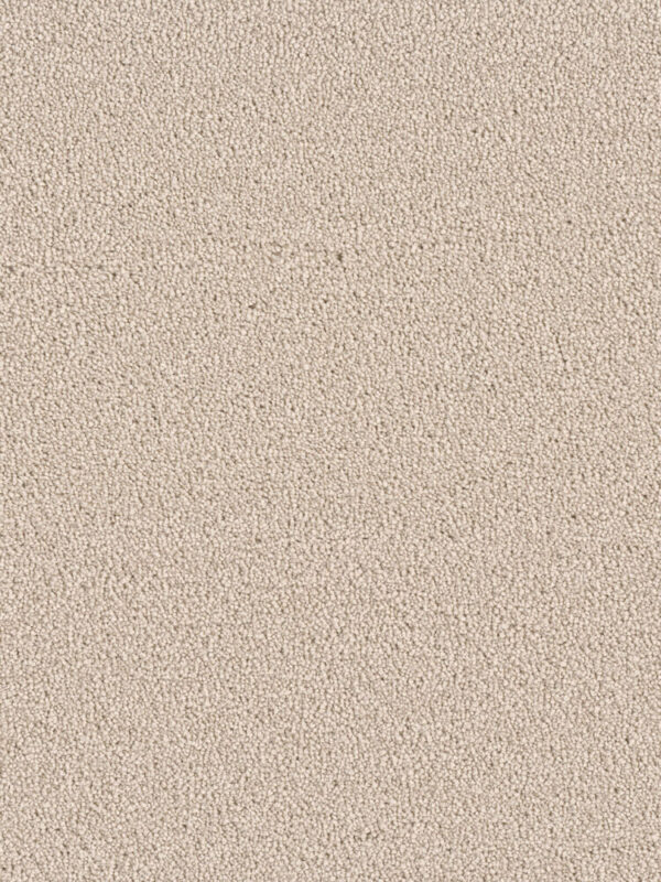 Dreamweaver Carpet East Hampton Ivory Carpet 2550_730