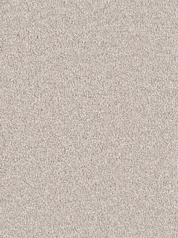 Dreamweaver Carpet East Hampton Parchment Carpet 2550_744